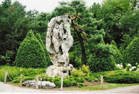 jardins et roses
