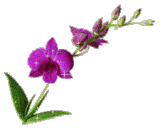 Tuto Photoshop